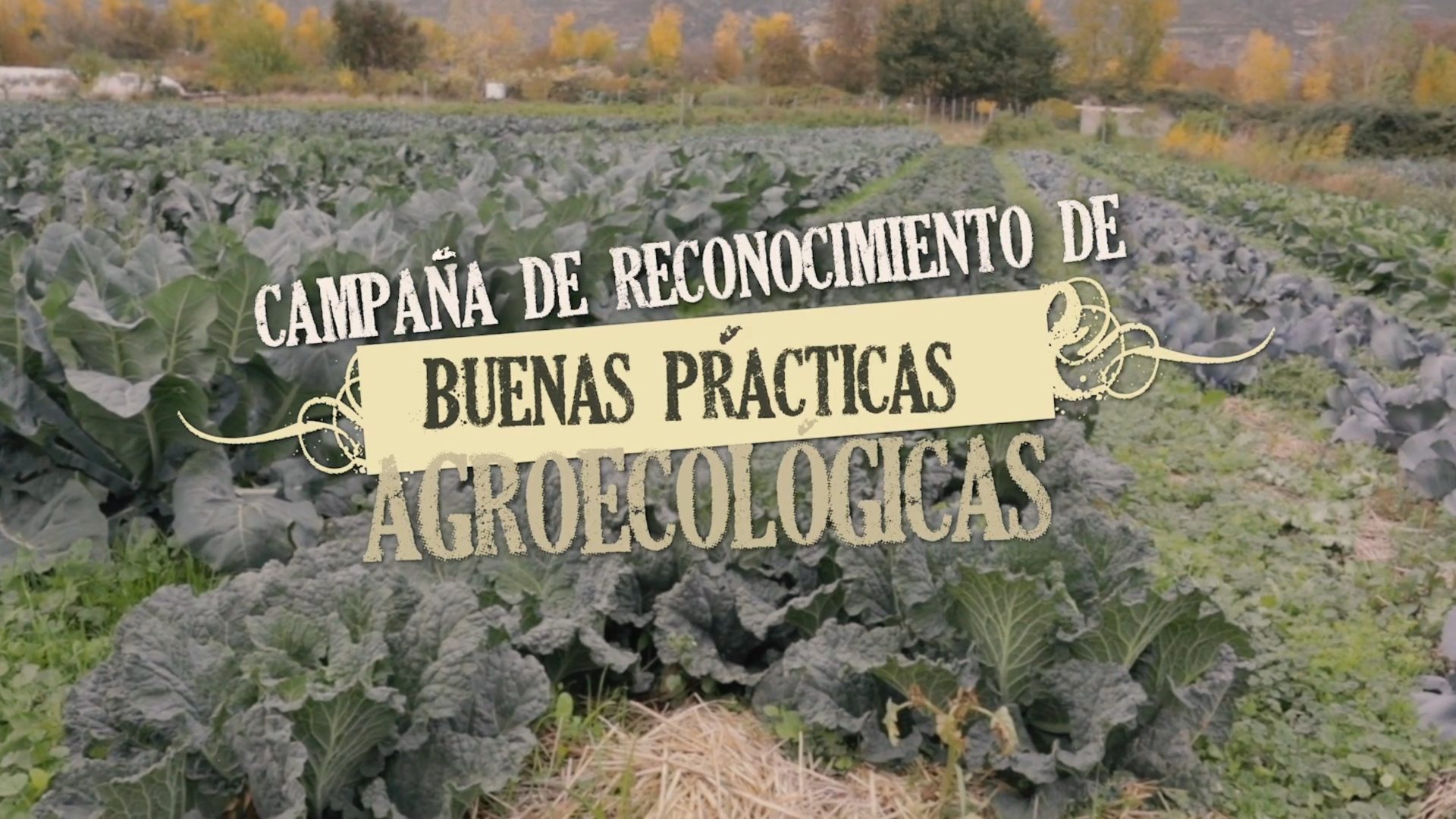 Buenas Prácticas Agroecológicas